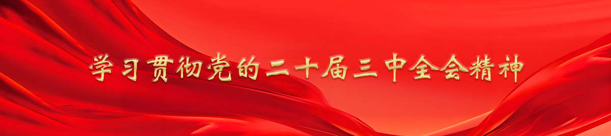 學(xué)習(xí)貫徹黨的二十屆三中全會(huì)精神